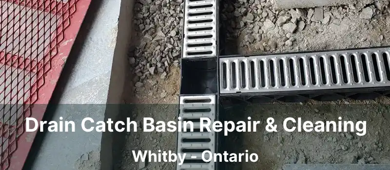 Drain Catch Basin Repair & Cleaning Whitby - Ontario
