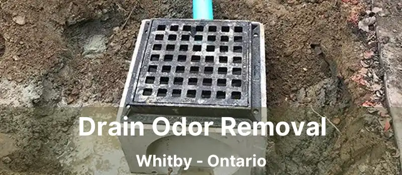  Drain Odor Removal Whitby - Ontario