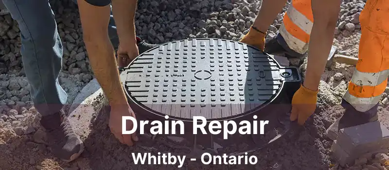 Drain Repair Whitby - Ontario